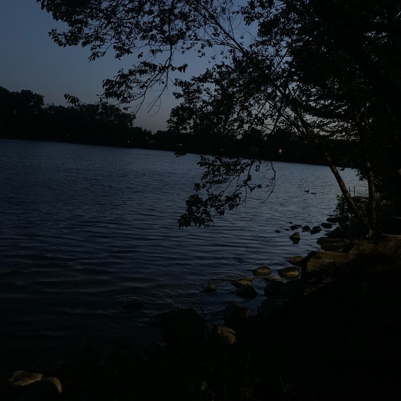 Meet your Posher, Zaylie - Picture 1 of 1